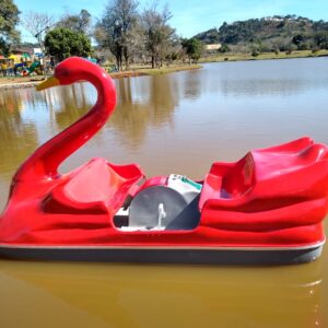 Pedalinho Cisne Família Duty do Brasil