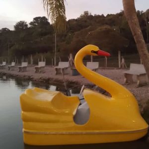 Pedalinho Cisne Duty do Brasil