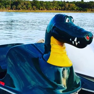 Pedalinho Jacaré Duty do Brasil