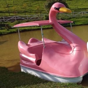 Pedalinho Cisne com capota fixa Duty do Brasil