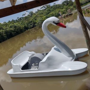 Pedalinho Família com pescoço Duty do Brasil